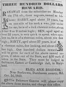Tubman Runaway Ad - "Minty"